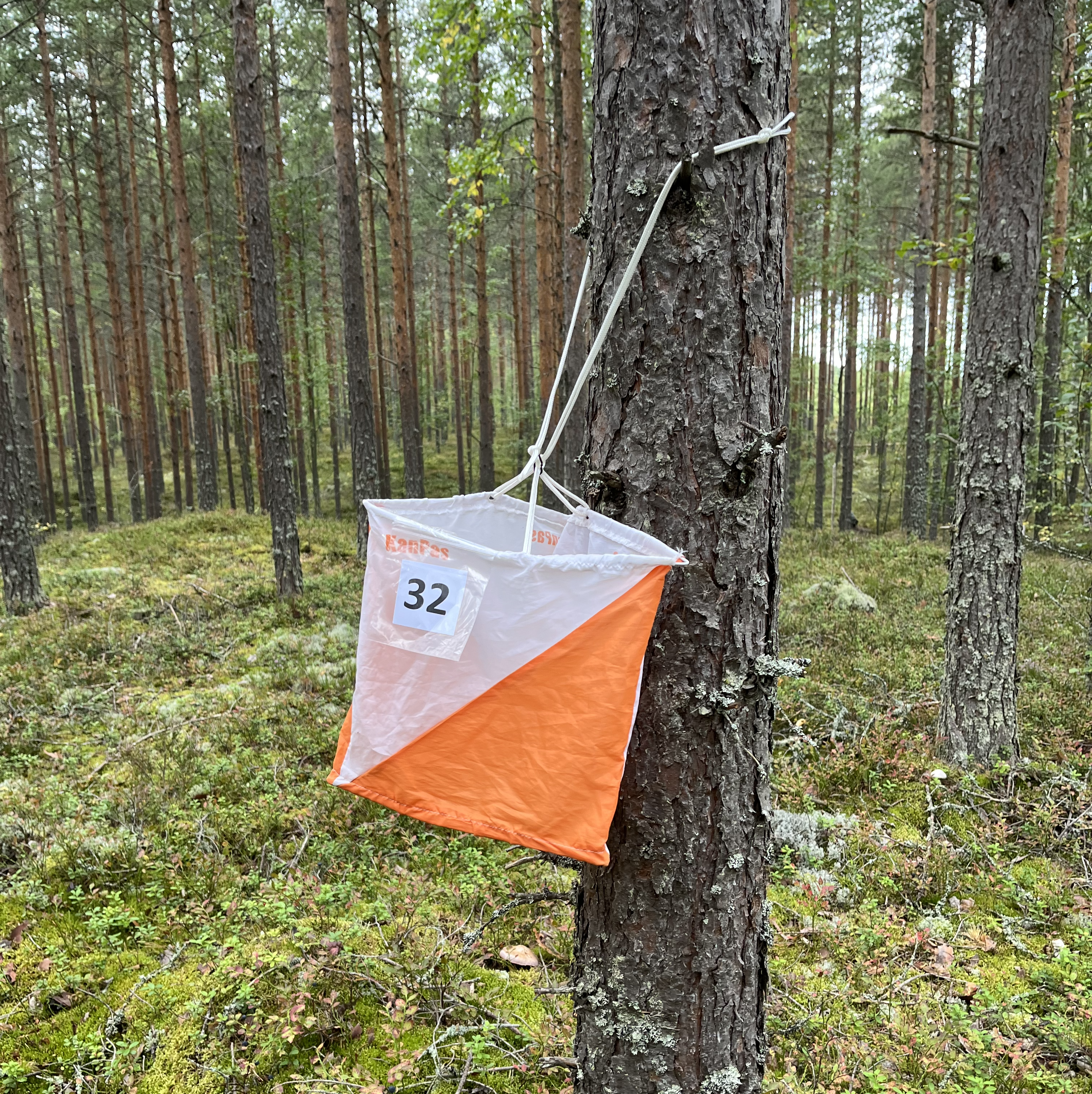 Tyhy-päivä Sarviniemessä