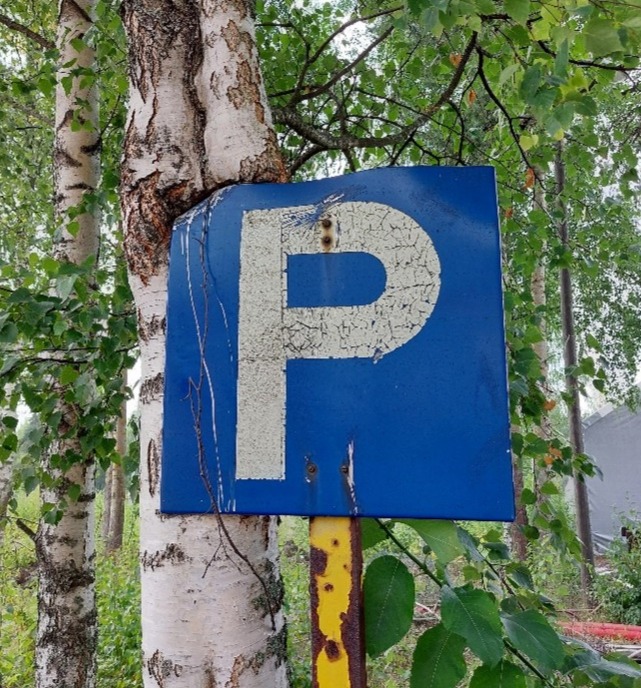 Ympäristökonsultin työpäivä – välillä vähän yllättäväkin